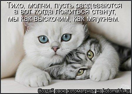 Тихо, молчи, пусть раздеваются а вот когда ложиться станут, мы как выскочим, как мяукнем.... Котоматрица: Тихо, молчи, пусть раздеваются а вот когда ложиться станут, мы как выскочим, как мяукнем.