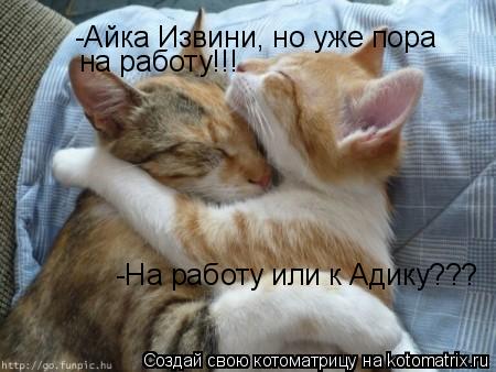 -Айка Извини, но уже пора на работу!!! -На работу или к Адику???... Котоматрица: -Айка Извини, но уже пора на работу!!! -На работу или к Адику???