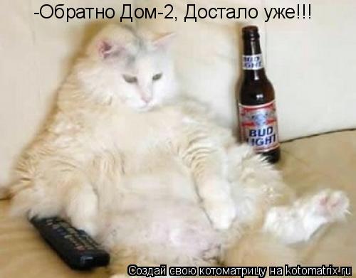 -Обратно Дом-2, Достало уже!!!... Котоматрица: -Обратно Дом-2, Достало уже!!!