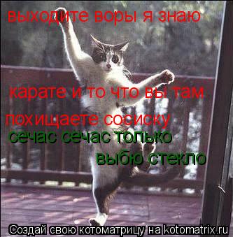 выходите воры я знаю карате и то что вы там похищаете сосиску сечас сечас только выбю стекло... Котоматрица: выходите воры я знаю карате и то что вы там похищаете сосиску сечас сечас только выбю стекло