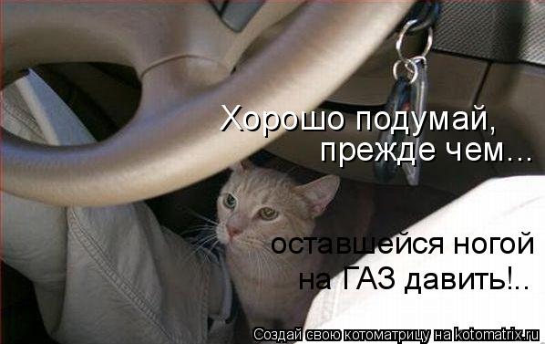Хорошо подумай, прежде чем... оставшейся ногой на ГАЗ давить!..... Котоматрица: Хорошо подумай, прежде чем... оставшейся ногой на ГАЗ давить!..