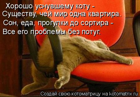Хорошо уснувшему коту - Существу, чей мир одна квартира. Сон, еда, прогулки до сортира - Все его проб... Котоматрица: Хорошо уснувшему коту - Существу, чей мир одна квартира. Сон, еда, прогулки до сортира - Все его проблемы без потуг.