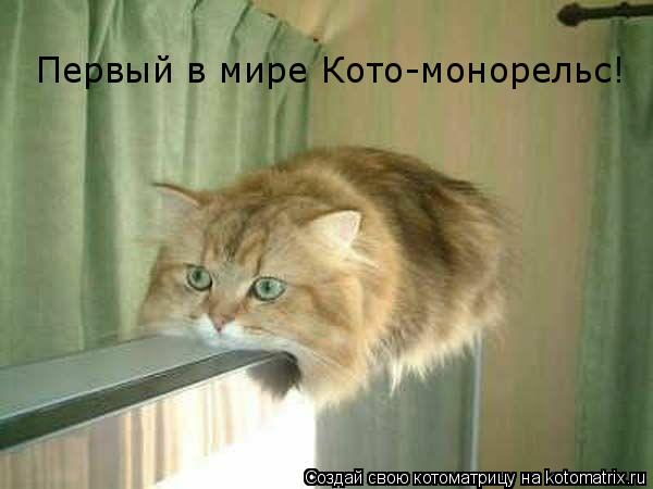 Первый в мире Кото-монорельс!... Котоматрица: Первый в мире Кото-монорельс!
