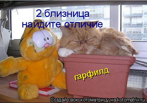 2 близница найдите отличие гарфилд... Котоматрица: 2 близница найдите отличие гарфилд