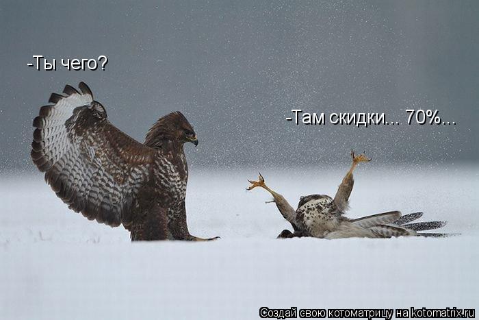 -Ты чего? -Там скидки... 70%...... Котоматрица: -Ты чего? -Там скидки... 70%...