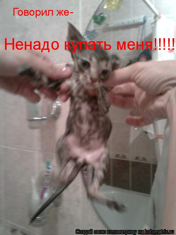 Говорил же- Ненадо купать меня!!!!!!... Котоматрица: Говорил же- Ненадо купать меня!!!!!!