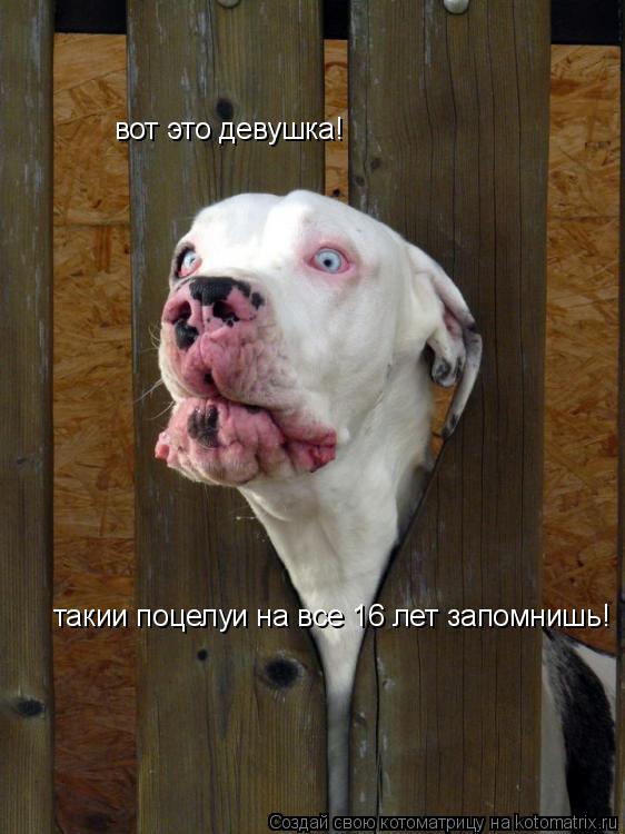 вот это девушка! такии поцелуи на все 16 лет запомнишь!... Котоматрица: вот это девушка! такии поцелуи на все 16 лет запомнишь!
