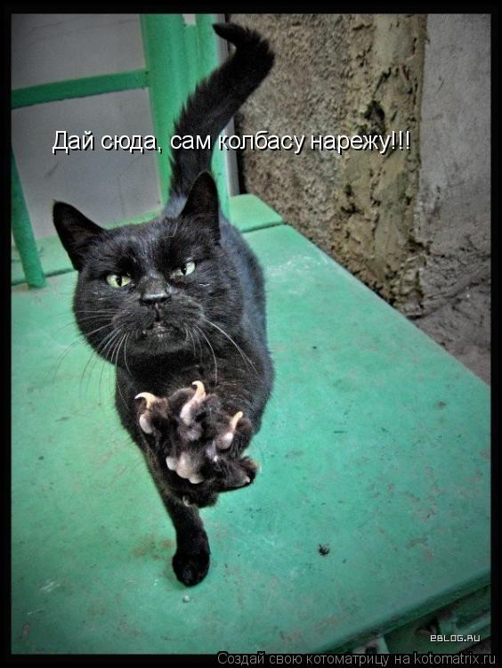 Дай сюда, сам колбасу нарежу!!!... Котоматрица: Дай сюда, сам колбасу нарежу!!!