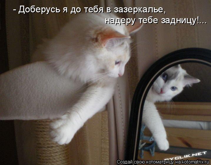 - Доберусь я до тебя в зазеркалье, надеру тебе задницу!...... Котоматрица: - Доберусь я до тебя в зазеркалье, надеру тебе задницу!...