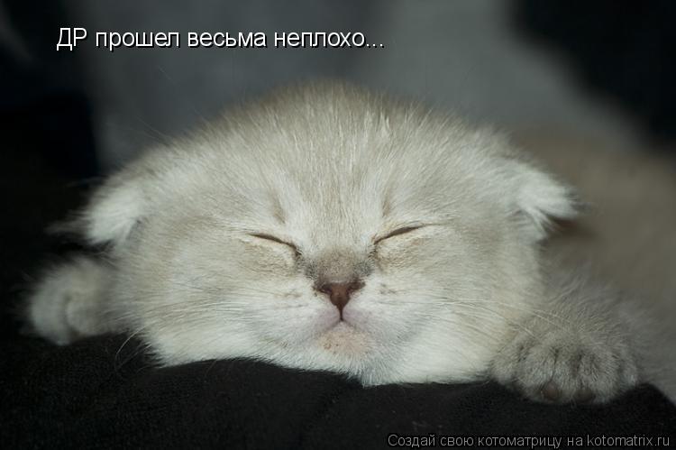 ДР прошел весьма неплохо...... Котоматрица: ДР прошел весьма неплохо...