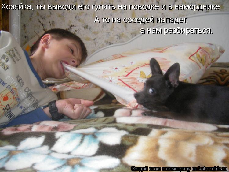 Хозяйка, ты выводи его гулять на поводке и в наморднике А то на соседей нападет, а нам разбираться.... Котоматрица: Хозяйка, ты выводи его гулять на поводке и в наморднике А то на соседей нападет, а нам разбираться.