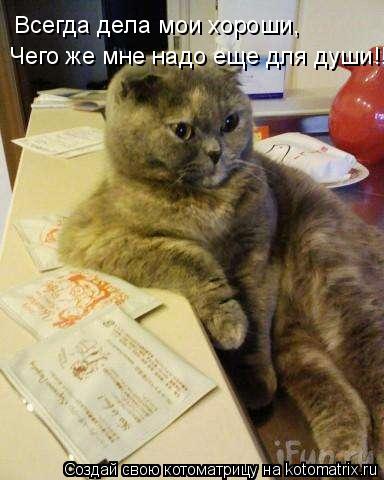 Всегда дела мои хороши, Чего же мне надо еще для души!!!... Котоматрица: Всегда дела мои хороши, Чего же мне надо еще для души!!!