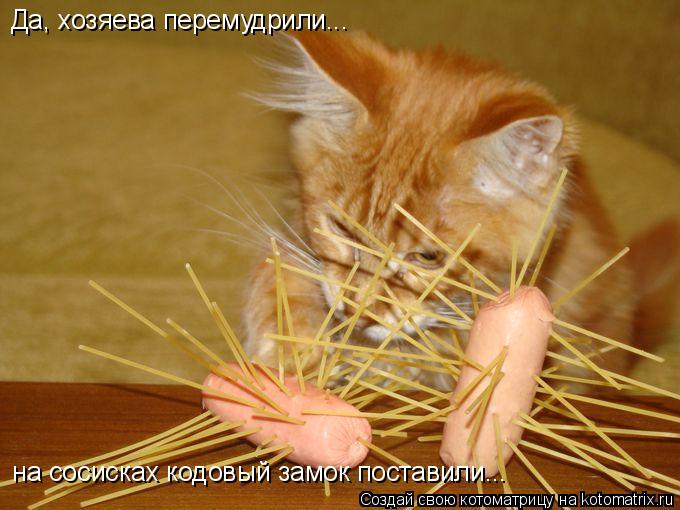 Да, хозяева перемудрили... на сосисках кодовый замок поставили...... Котоматрица: Да, хозяева перемудрили... на сосисках кодовый замок поставили...