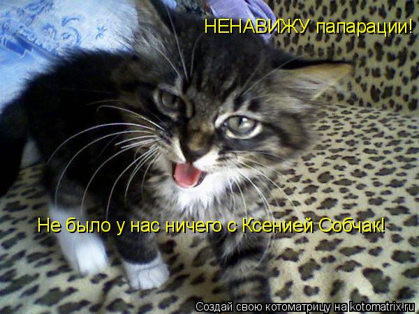 НЕНАВИЖУ папарации! Не было у нас ничего с Ксенией Собчак!... Котоматрица: НЕНАВИЖУ папарации! Не было у нас ничего с Ксенией Собчак!