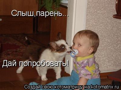 Слыш,парень... Дай попробовать!... Котоматрица: Слыш,парень... Дай попробовать!