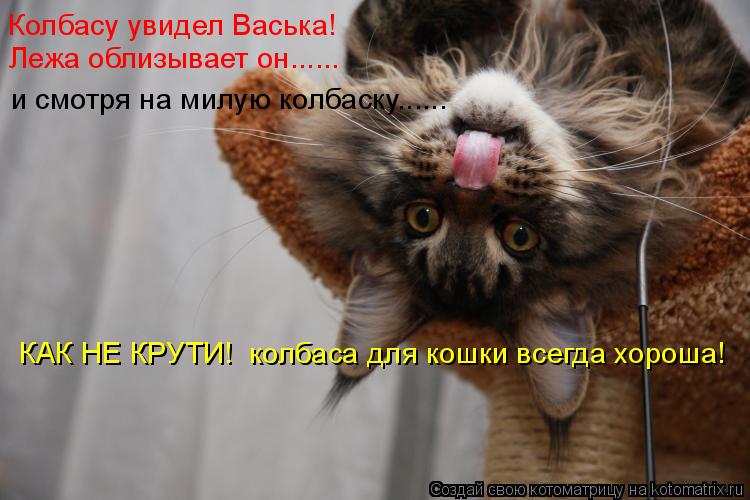 Колбасу увидел Васька! Лежа облизывает он...... и смотря на милую колбаску...... КАК НЕ КРУТИ! колба... Котоматрица: Колбасу увидел Васька! Лежа облизывает он...... и смотря на милую колбаску...... КАК НЕ КРУТИ! колбаса для кошки всегда хороша!