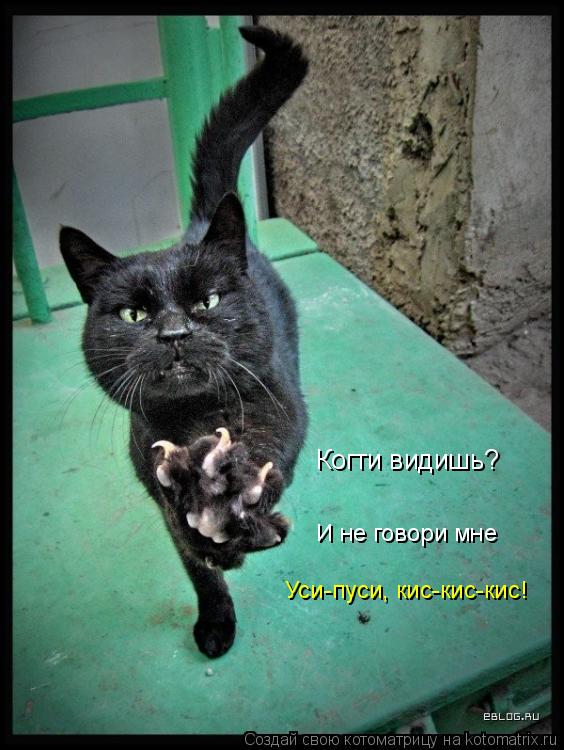 Когти видишь? И не говори мне Уси-пуси, кис-кис-кис!... Котоматрица: Когти видишь? И не говори мне Уси-пуси, кис-кис-кис!