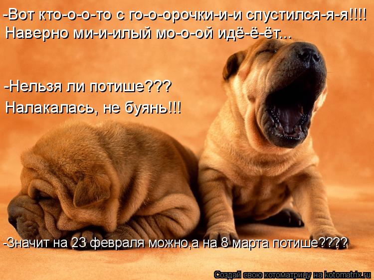 -Вот кто-о-о-то с го-о-орочки-и-и спустился-я-я!!!! -Нельзя ли потише??? Налакалась, не буянь!!! -Зна... Котоматрица: -Вот кто-о-о-то с го-о-орочки-и-и спустился-я-я!!!! -Нельзя ли потише??? Налакалась, не буянь!!! -Значит на 23 февраля можно,а на 8 марта потише????