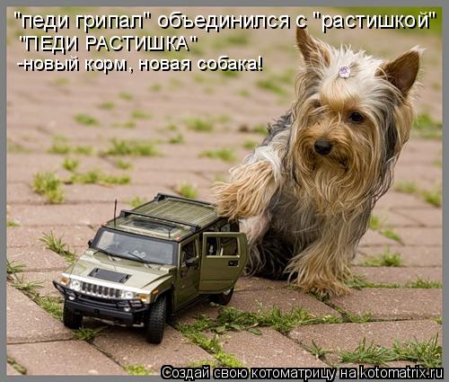 "педи грипал" объединился с "растишкой" "ПЕДИ РАСТИШКА" -новый корм, новая собака!... Котоматрица: "педи грипал" объединился с "растишкой" "ПЕДИ РАСТИШКА" -новый корм, новая собака!