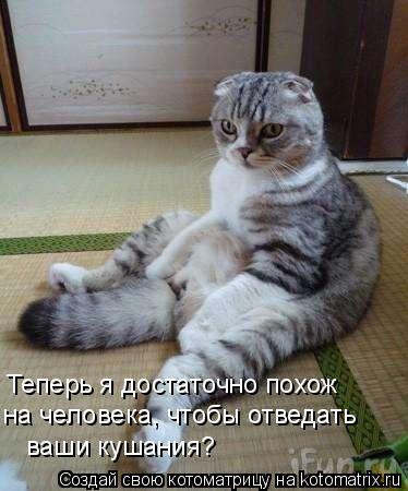 Теперь я достаточно похож на человека, чтобы отведать ваши кушания?... Котоматрица: Теперь я достаточно похож на человека, чтобы отведать ваши кушания?