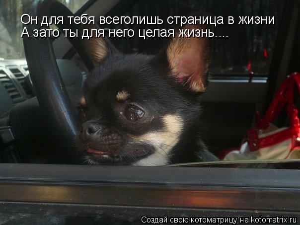 Он для тебя всеголишь страница в жизни А зато ты для него целая жизнь....... Котоматрица: Он для тебя всеголишь страница в жизни А зато ты для него целая жизнь....