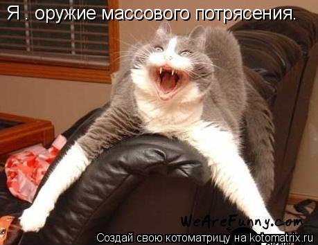 Я — оружие массового потрясения.... Котоматрица: Я — оружие массового потрясения.