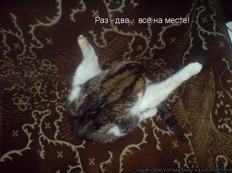 Раз - два... все на месте!... Котоматрица: Раз - два... все на месте!