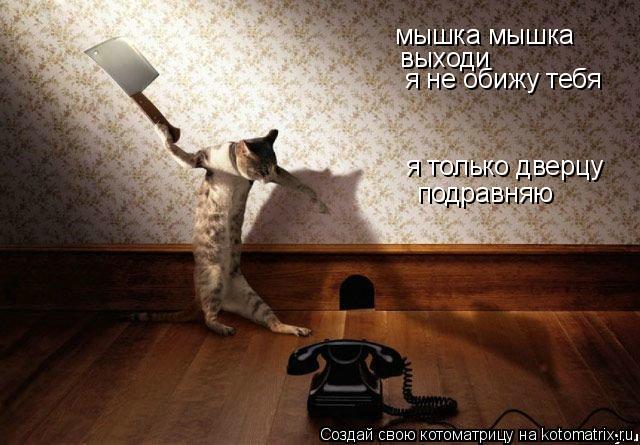 мышка мышка выходи я не обижу тебя я только дверцу подравняю... Котоматрица: мышка мышка выходи я не обижу тебя я только дверцу подравняю