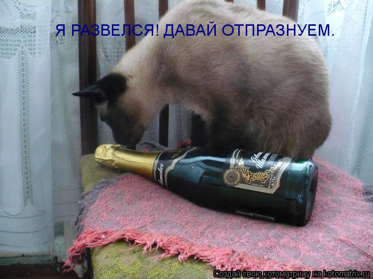 Я РАЗВЕЛСЯ! ДАВАЙ ОТПРАЗНУЕМ.... Котоматрица: Я РАЗВЕЛСЯ! ДАВАЙ ОТПРАЗНУЕМ.