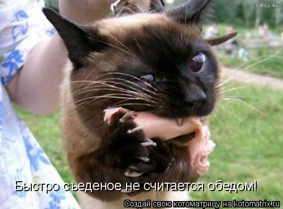 Быстро съеденое не считается обедом!... Котоматрица: Быстро съеденое не считается обедом!