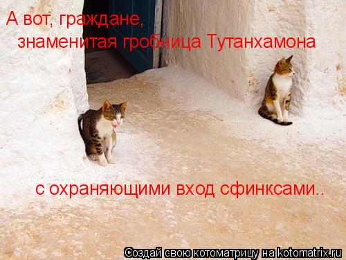 А вот, граждане, знаменитая гробница Тутанхамона с охраняющими вход сфинксами..... Котоматрица: А вот, граждане, знаменитая гробница Тутанхамона с охраняющими вход сфинксами..