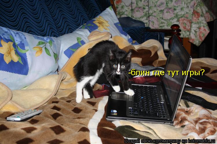 -блин где тут игры?... Котоматрица: -блин где тут игры?