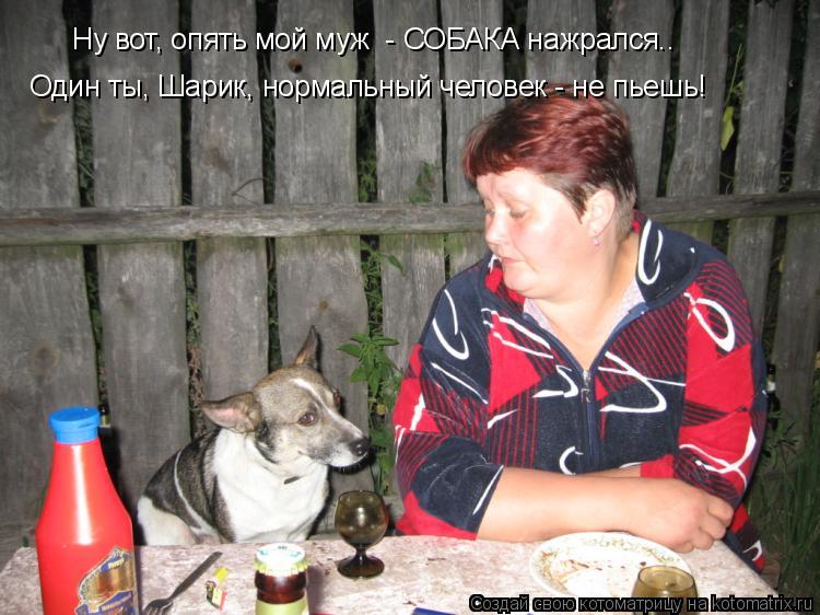 Ну вот, опять мой муж - СОБАКА нажрался.. Один ты, Шарик, нормальный человек - не пьешь!... Котоматрица: Ну вот, опять мой муж - СОБАКА нажрался.. Один ты, Шарик, нормальный человек - не пьешь!