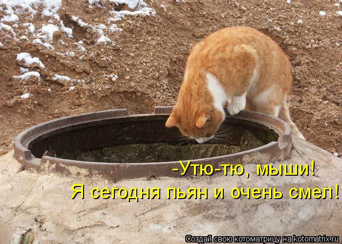 -Утю-тю, мыши! Я сегодня пьян и очень смел!... Котоматрица: -Утю-тю, мыши! Я сегодня пьян и очень смел!