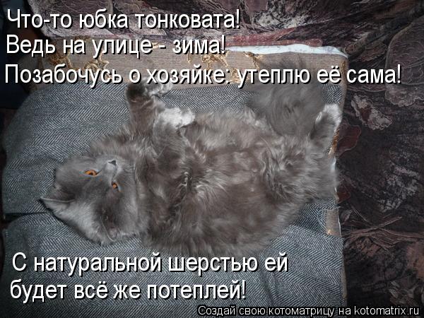 Котоматрица: С натуральной шерстью ей будет всё же потеплей! Что-то юбка тонковата!  Ведь на улице - зима! Позабочусь о хозяйке: утеплю её сама!