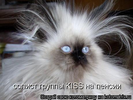 солист группы KISS на пенсии... Котоматрица: солист группы KISS на пенсии