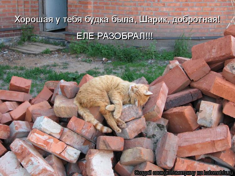Хорошая у тебя будка была, Шарик, добротная! ЕЛЕ РАЗОБРАЛ!!!... Котоматрица: Хорошая у тебя будка была, Шарик, добротная! ЕЛЕ РАЗОБРАЛ!!!
