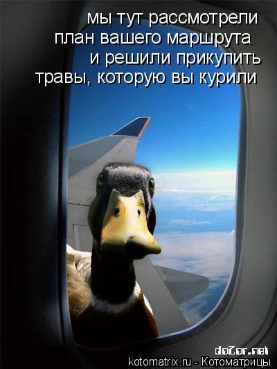 мы тут рассмотрели план вашего маршрута и решили прикупить травы, которую вы курили... Котоматрица: мы тут рассмотрели план вашего маршрута и решили прикупить травы, которую вы курили