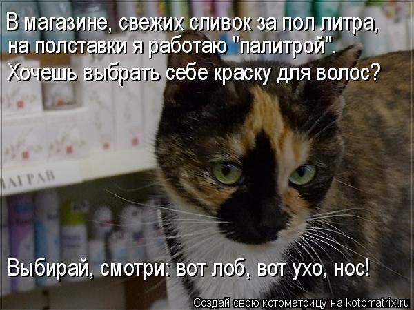 В магазине, свежих сливок за пол литра, на полставки я работаю "палитрой". Хочешь выбрать себе краску... Котоматрица: В магазине, свежих сливок за пол литра, на полставки я работаю "палитрой". Хочешь выбрать себе краску для волос? Выбирай, смотри: вот лоб, вот