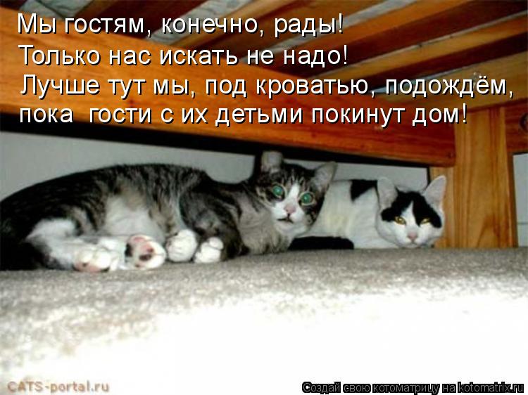 Котоматрица: Мы гостям, конечно, рады! Только нас искать не надо! Лучше тут мы, под кроватью, подождём, пока  гости с их детьми покинут дом!