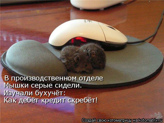 В производственном отделе Мышки серые сидели. Изучали бухучёт: Как дебёт кредит скребёт!... Котоматрица: В производственном отделе Мышки серые сидели. Изучали бухучёт: Как дебёт кредит скребёт!