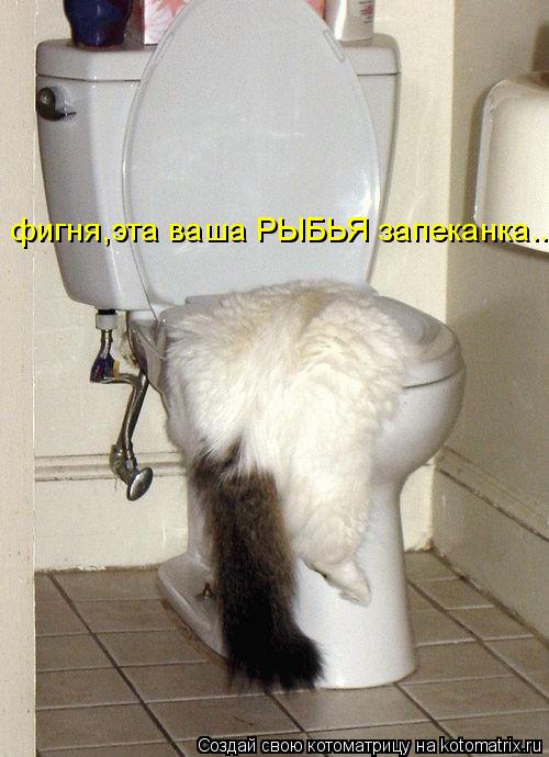 фигня,эта ваша РЫБЬЯ запеканка...... Котоматрица: фигня,эта ваша РЫБЬЯ запеканка...