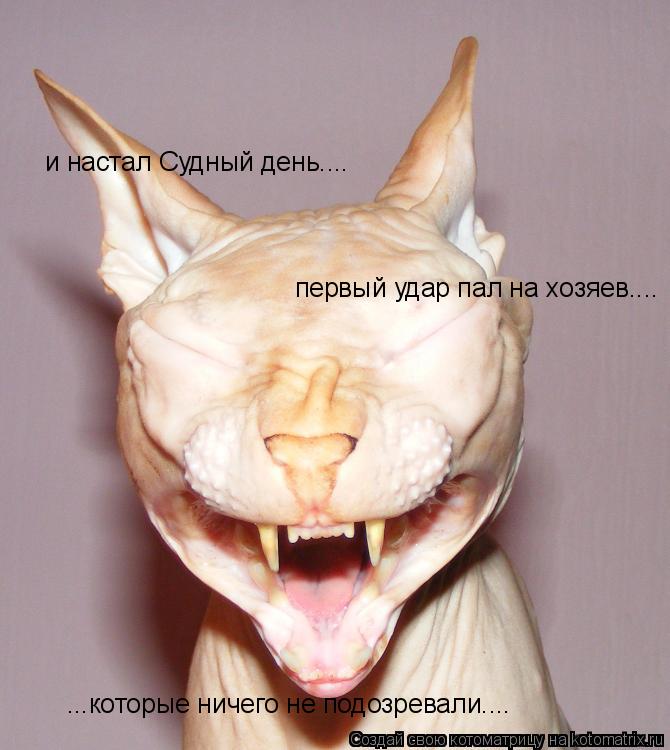 и настал Судный день.... первый удар пал на хозяев.... ...которые ничего не подозревали....... Котоматрица: и настал Судный день.... первый удар пал на хозяев.... ...которые ничего не подозревали....