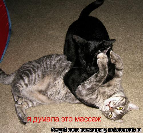 я думала это массаж... Котоматрица: я думала это массаж