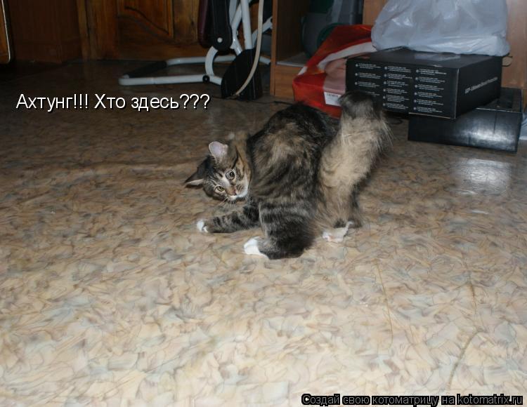 Ахтунг!!! Хто здесь???... Котоматрица: Ахтунг!!! Хто здесь???