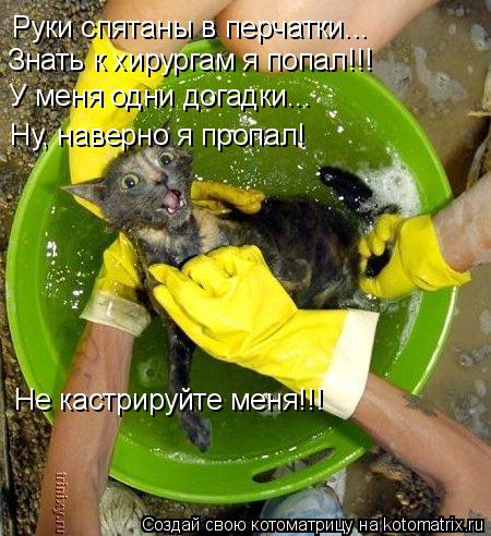 Руки спятаны в перчатки... Знать к хирургам я попал!!! У меня одни догадки... Ну, наверно я пропал! Н... Котоматрица: Руки спятаны в перчатки... Знать к хирургам я попал!!! У меня одни догадки... Ну, наверно я пропал! Не кастрируйте меня!!!