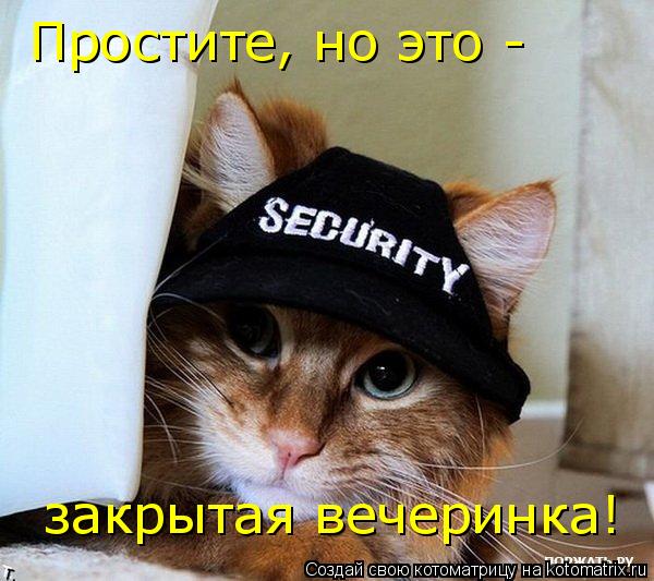 Простите, но это - закрытая вечеринка!... Котоматрица: Простите, но это - закрытая вечеринка!