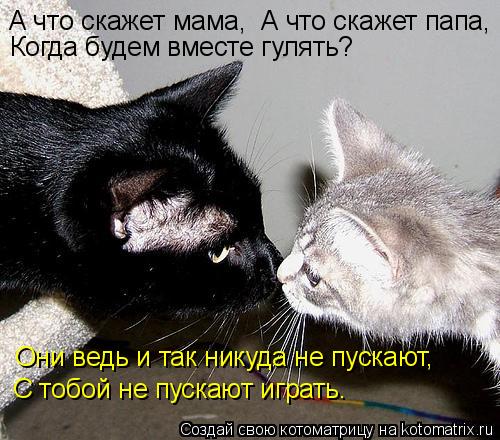 А что скажет мама, А что скажет папа, Когда будем вместе гулять? Они ведь и так никуда не пускают, С... Котоматрица: А что скажет мама, А что скажет папа, Когда будем вместе гулять? Они ведь и так никуда не пускают, С тобой не пускают играть.