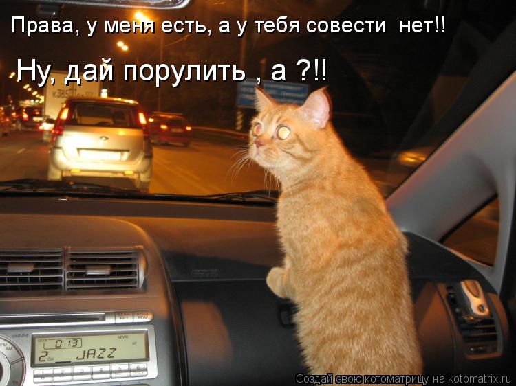 Права, у меня есть, а у тебя совести нет!! Ну, дай порулить , а ?!!... Котоматрица: Права, у меня есть, а у тебя совести нет!! Ну, дай порулить , а ?!!