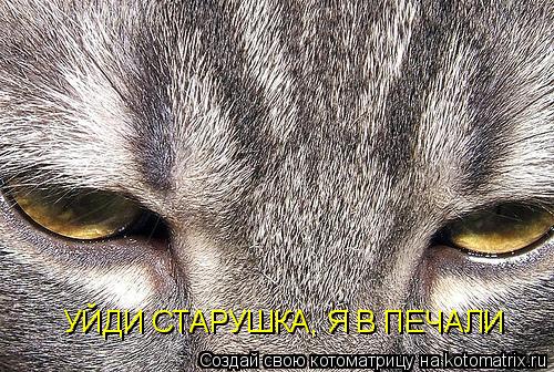 УЙДИ СТАРУШКА, Я В ПЕЧАЛИ... Котоматрица: УЙДИ СТАРУШКА, Я В ПЕЧАЛИ